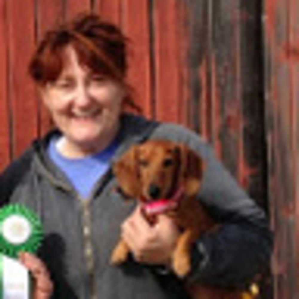 Meet your Posher, Rebecca a.